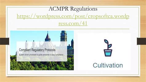 ACMPR Regulations Uncovered: Your Powerful 8.
